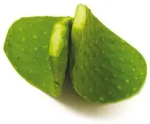 мексиканский кактус